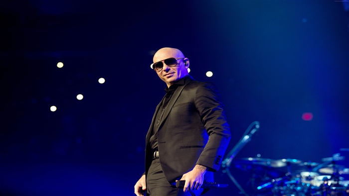 Pitbull performing live in 4K