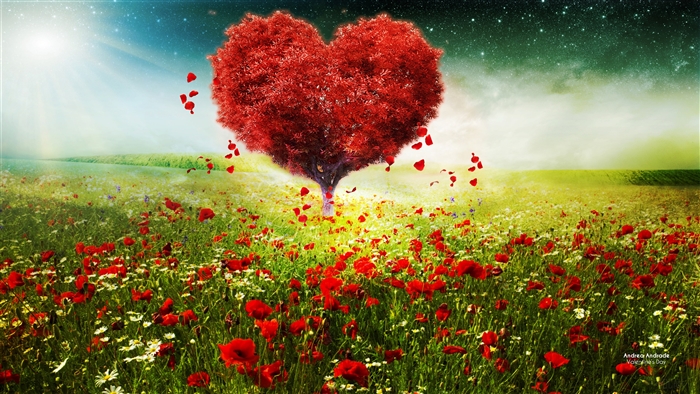 Heart-shaped tree in a field of poppies, Valentines Day 4K