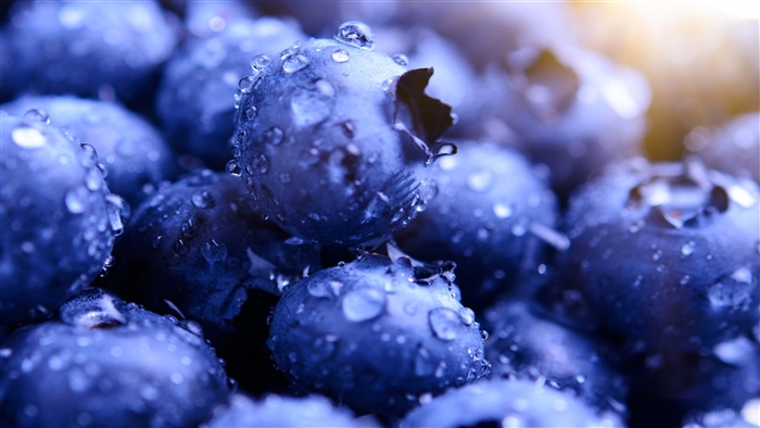 Blueberries with water droplets 4K