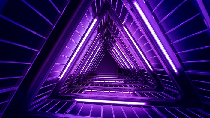 Neon Architecture