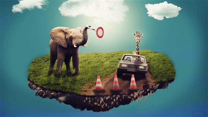 Elephant and Giraffe on Floating Island with Car