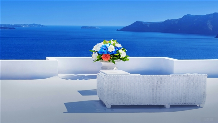 Beautiful Flower Vase