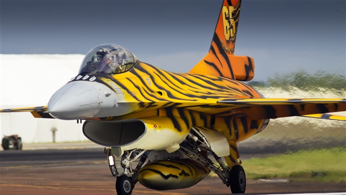 Belgian Air Force F-16AM Fighting Falcon with tiger livery