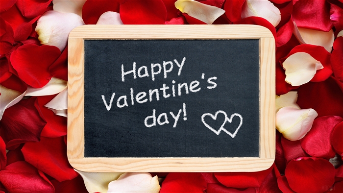 Happy Valentine's Day chalkboard with rose petals 4K