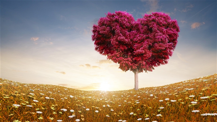Heart Shaped Tree in a Field of Flowers 4K