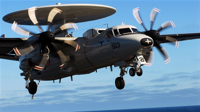 Northrop Grumman E-2 Hawkeye American Military Aircraft 4K