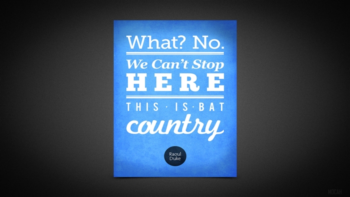 What? No. We Can't Stop HERE This is Bat Country 4K