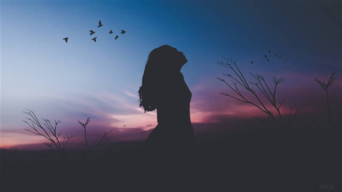 Silhouette of a woman looking up at birds during sunset