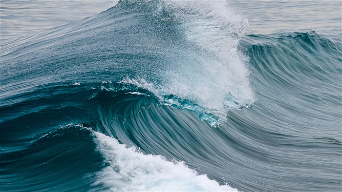 Dynamic Ocean Waves in High Detail 4K