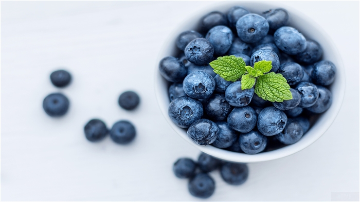 Blueberries in a bowl with mint 4K