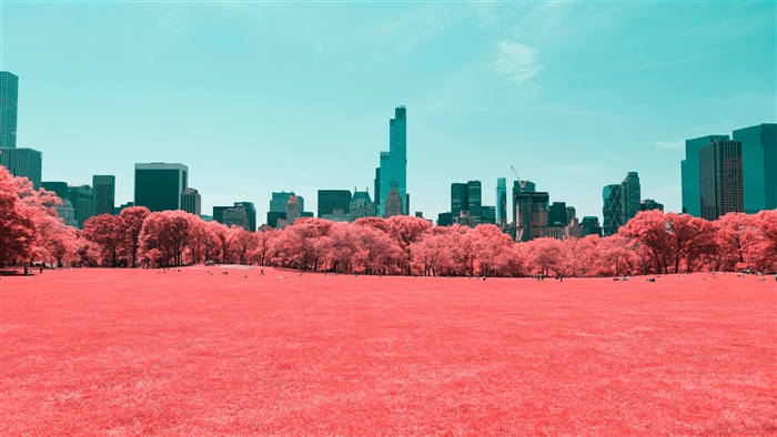 NYC Central Park Infrared