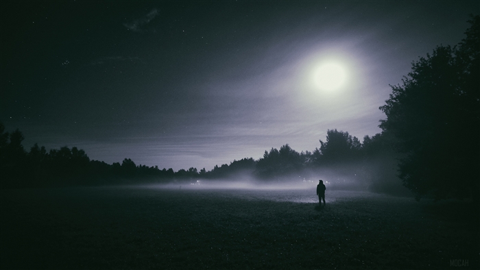 Foggy night with moon and stars