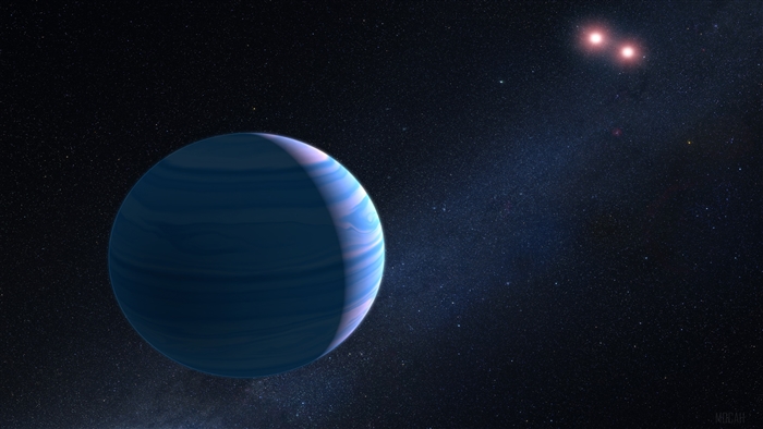 Gas Giant Planet and Twin Stars