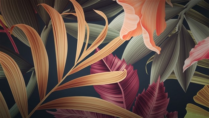 Autumn Leaves Illustration