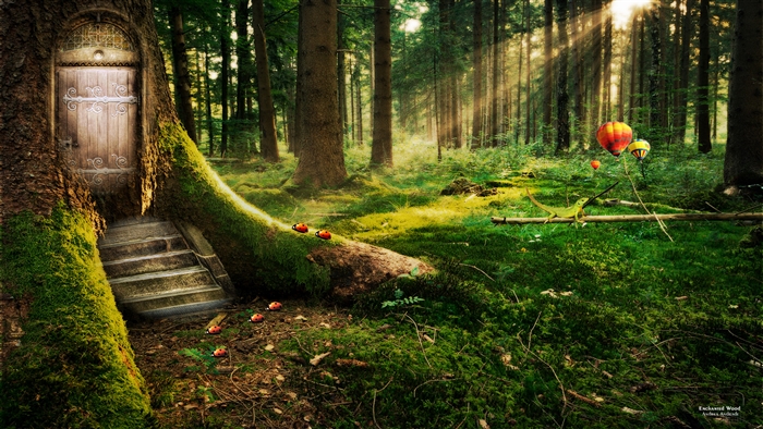 Enchanted Wood 4K