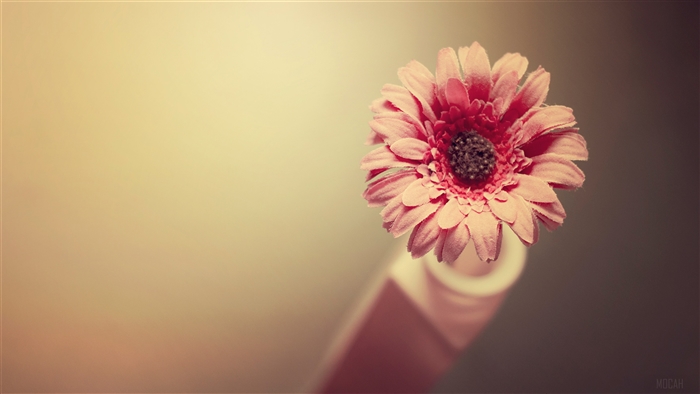 Beautiful Fabric Flower