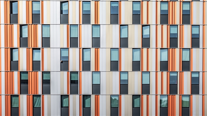 Symmetric Architecture