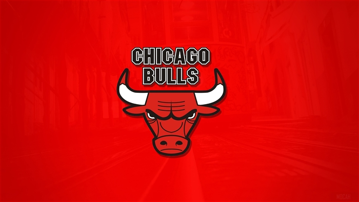 Chicago Bulls 4K