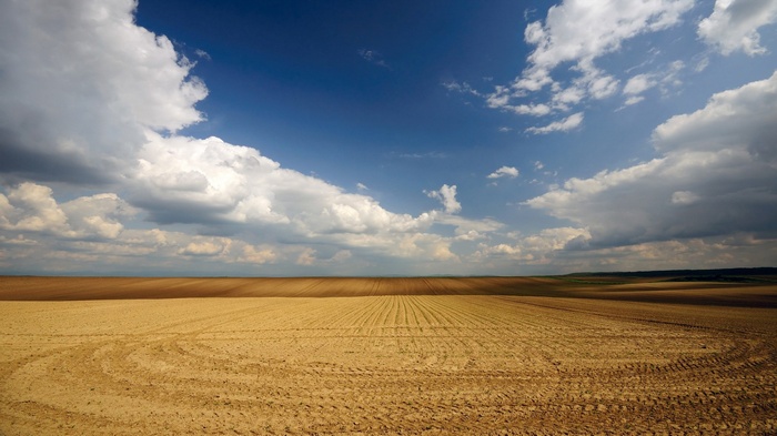 Plowed field under a cloudy blue sky