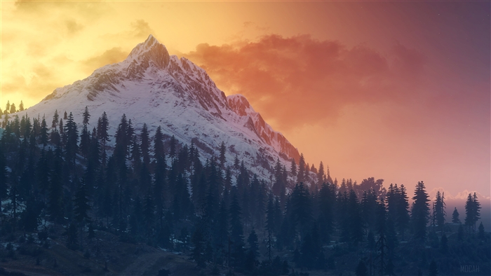 The Witcher 3 Wild Hunt Mountains 4K