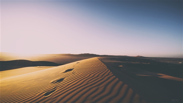 Desert Sand Dunes