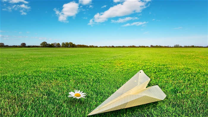 Paper airplane and daisy in a grassy field