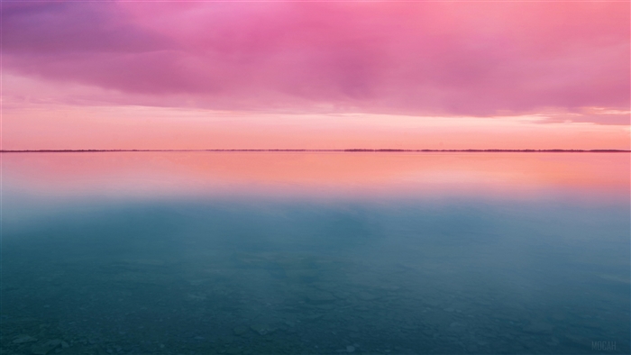 Sunset Horizon with Pink and Blue Sky 4K