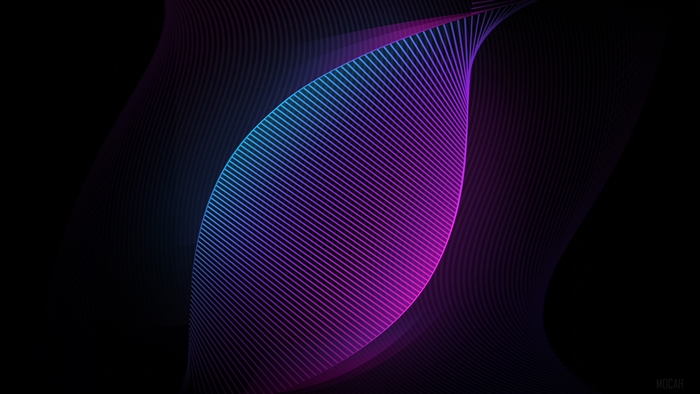 Neon Curves