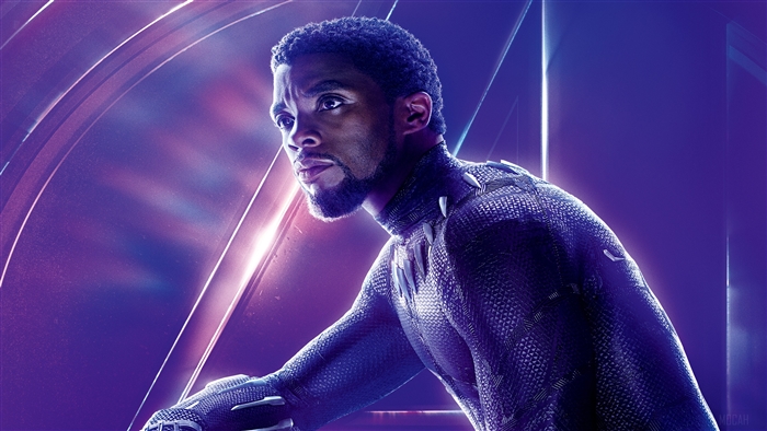 Black Panther from Avengers Infinity War 4K