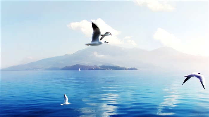 Seagulls flying over a lake with mountains in Switzerland 4K