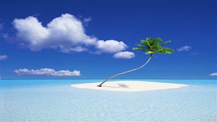 Serene Tropical Island with Palm Tree 4K