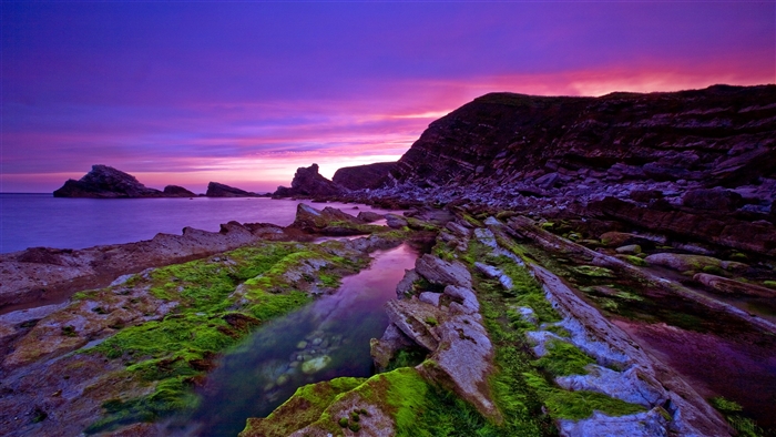 Rocky coastline with purple sunset