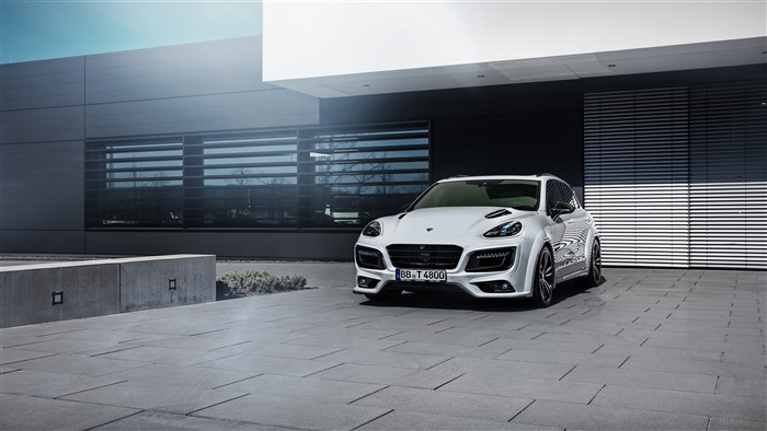 TechArt Magnum Sport 30 Years Edition