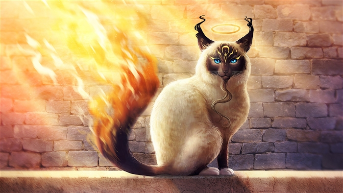 Birman Catamancer