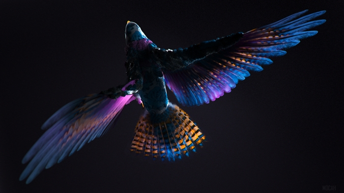Colorful CGI Bird in Flight 4K
