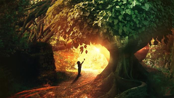Child reaching for leaves in a sunlit garden