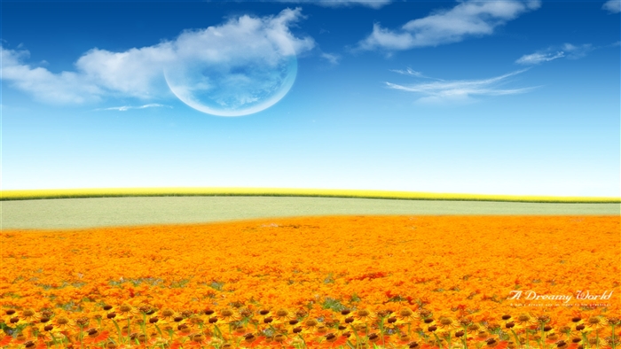 A Dreamy Flower World 4K