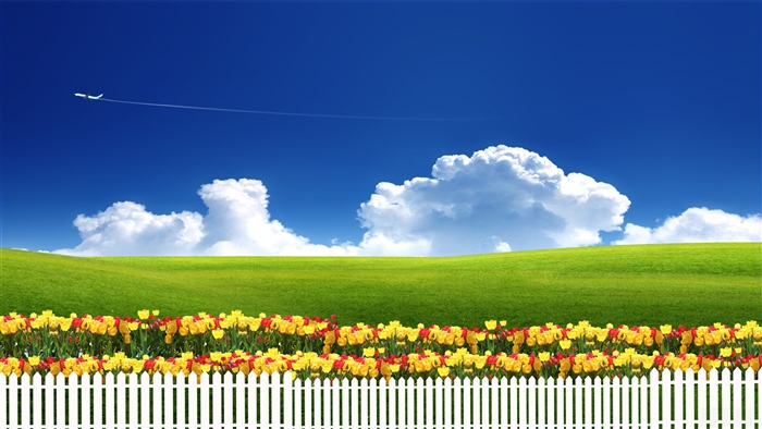 Airplane flying in a clear blue sky over green hills and tulips