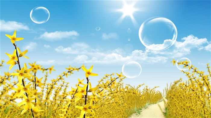 Yellow Flowers and Bubbles Under the Sun 4K