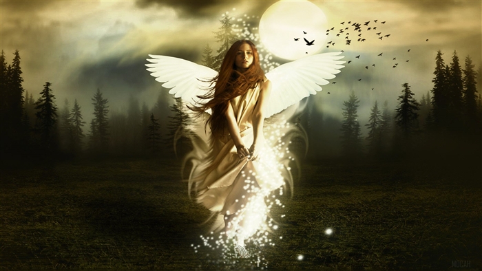 Fantasy Girl with Wings in Forest 4K