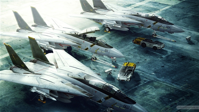 Grumman F-14 Tomcat Fighter Jets 4K