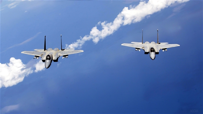 Two F-15 Eagles from the Air National Guard in flight 4K