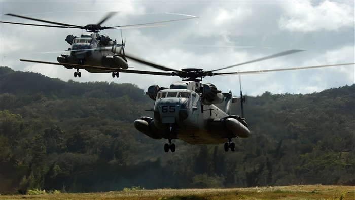 Two CH-53D Sea Stallion Helicopters in flight