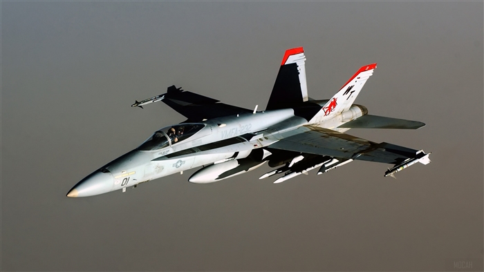 FA-18 Hornet Aircraft 4K