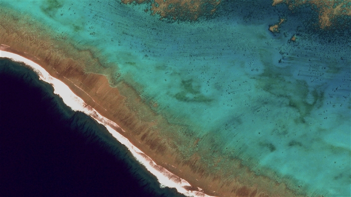 Aerial view of a coral reef and ocean