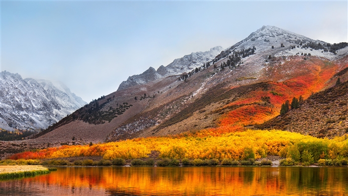 macOS High Sierra Stock