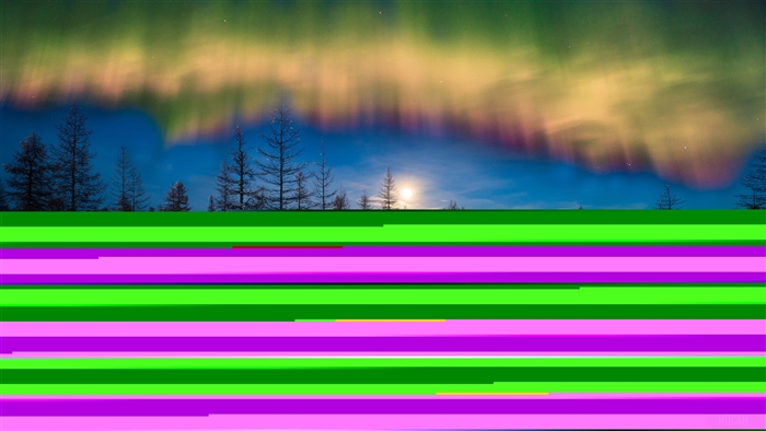 Aurora Borealis over a winter forest