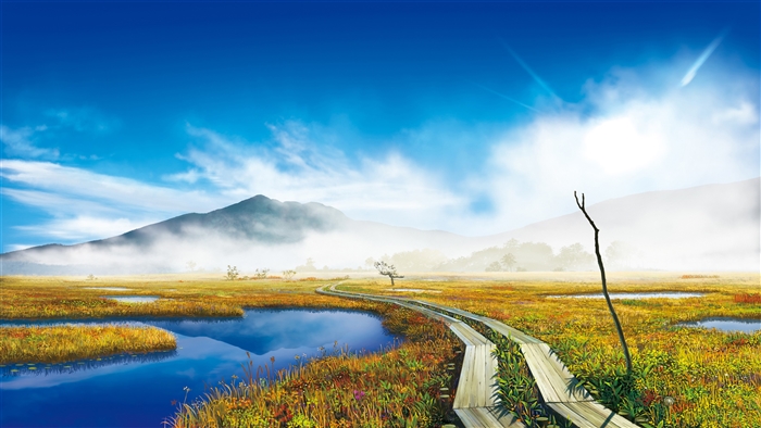 Foggy Mountains and Boardwalk over Marshland 4K