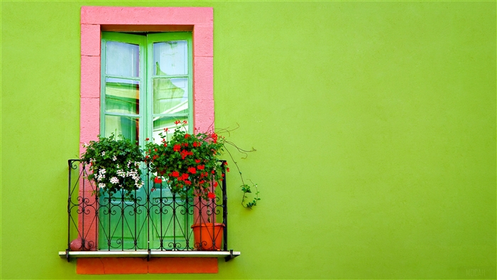 Vibrant Green Wall with Colorful Balcony Flowers