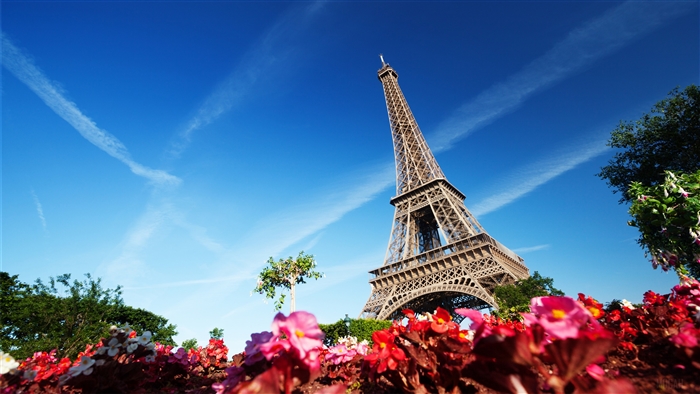 Eiffel Tower Paris France